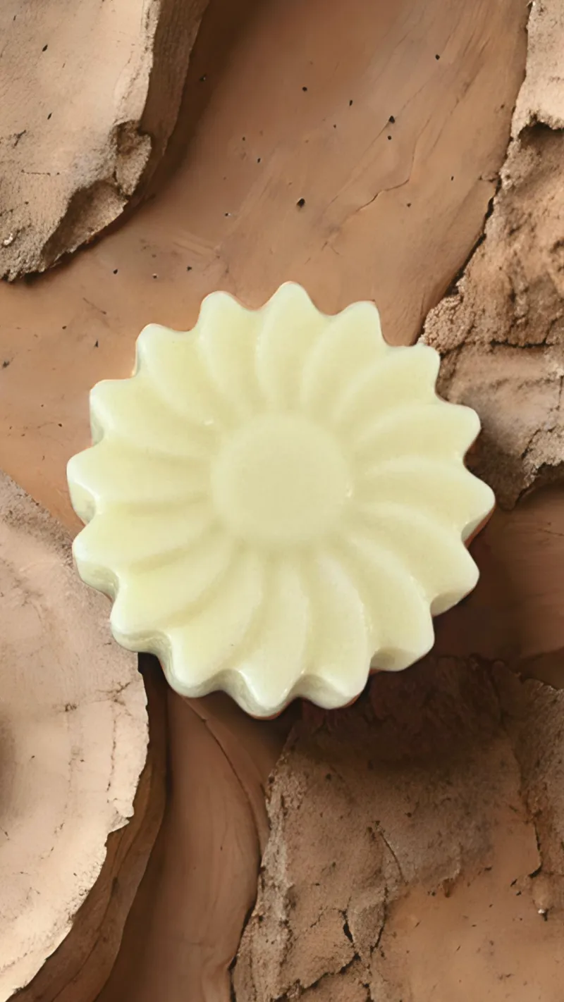 Conditioner, feste Spülung, Sheabutter, glänzendes Haar, Feuchtigkeitsspendend